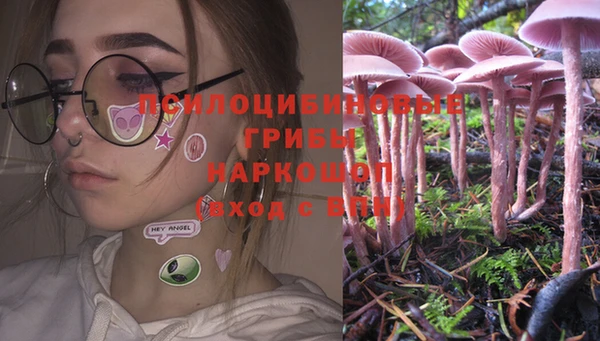 крисы Аркадак