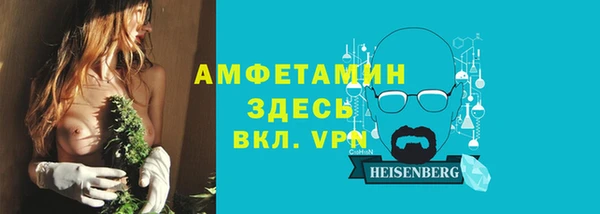 индика Балабаново