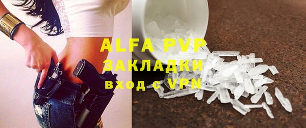 индика Балабаново
