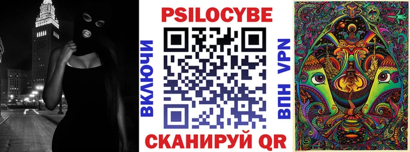 Купить где  Няндома  Галлюциногенные грибы Psilocybe 